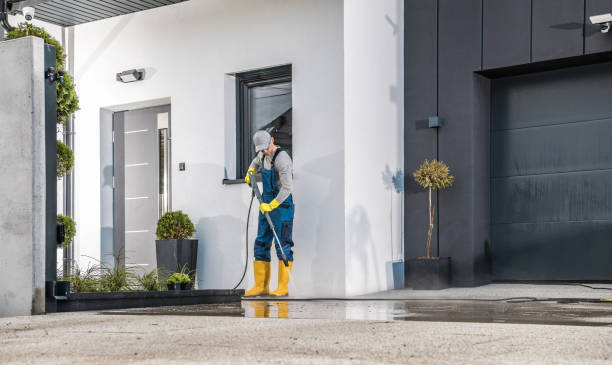 Best Driveway Pressure Washing  in Beesleys Point, NJ